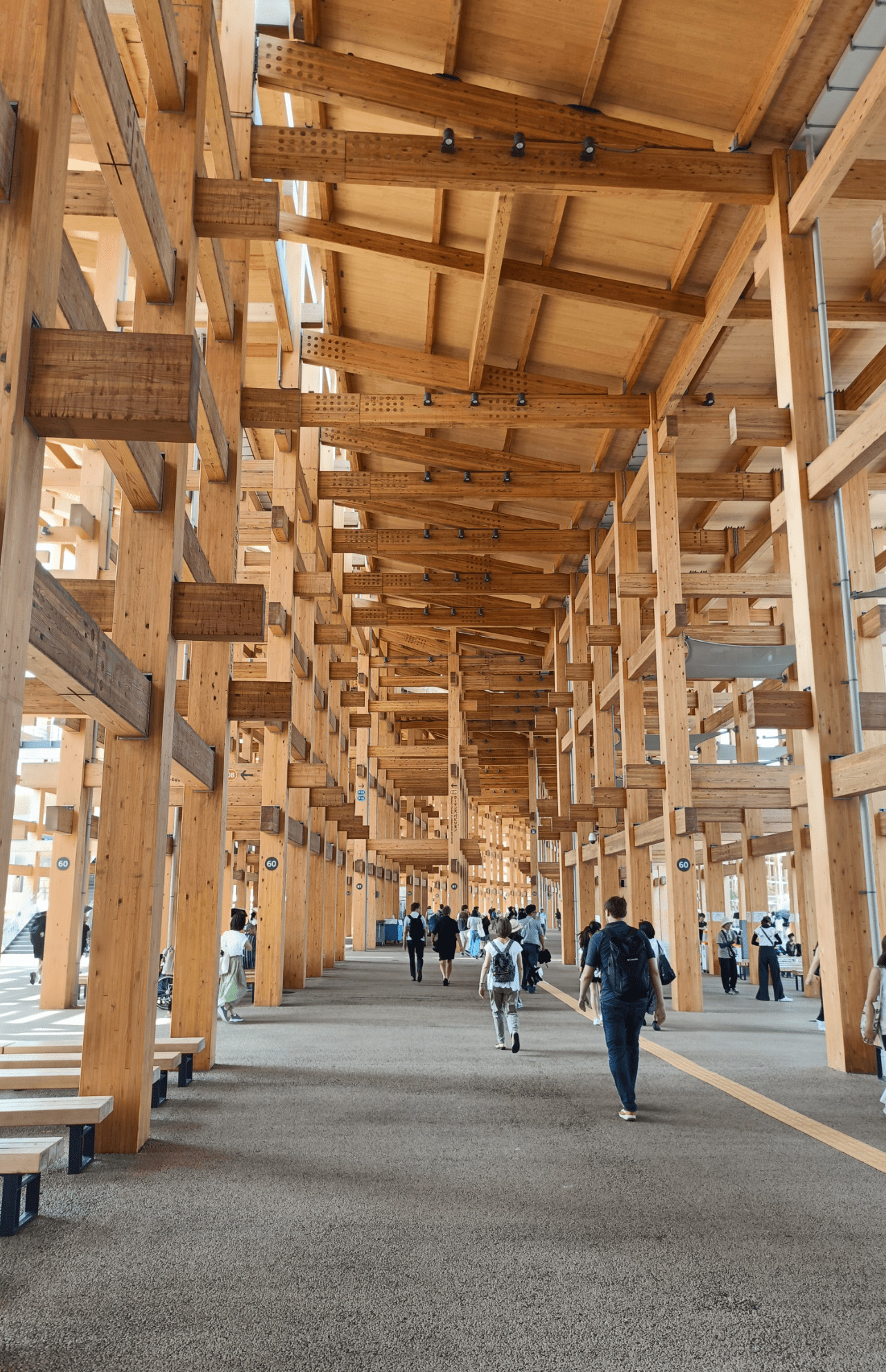 大屋根リングは「最大の木造建築物」として、ギネス世界記録に認定された