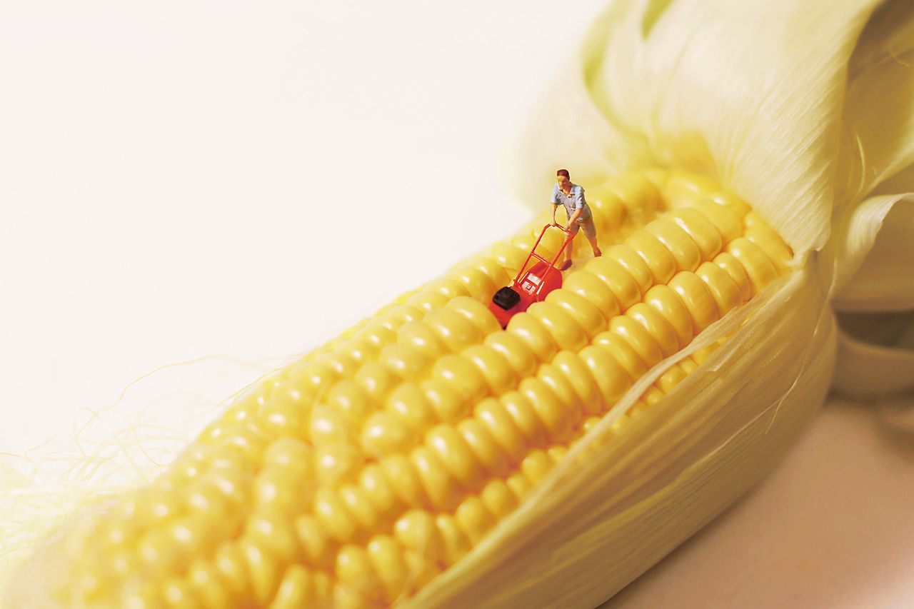 「今世紀最強の春一番」（C）Tanaka Tatsuya（MINIATURE CALENDAR）