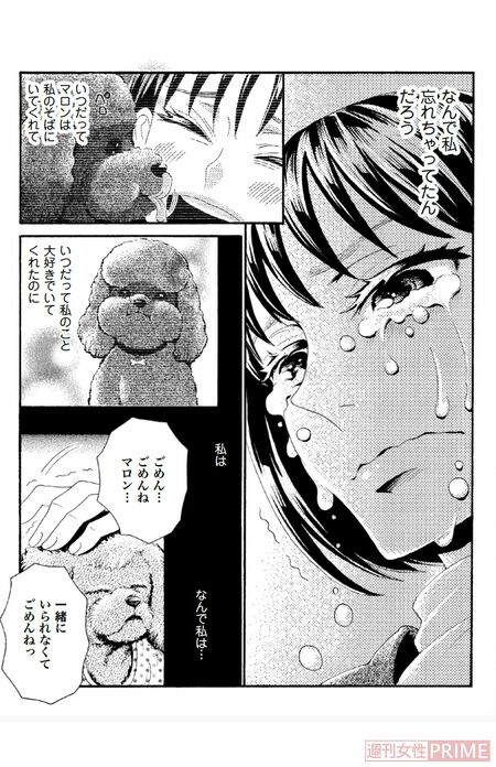 『ペット共生型マンション物語　ハイツ祐天寺へようこそ』（漫画 柏屋コッコ／原作 小林のえ）91ページより