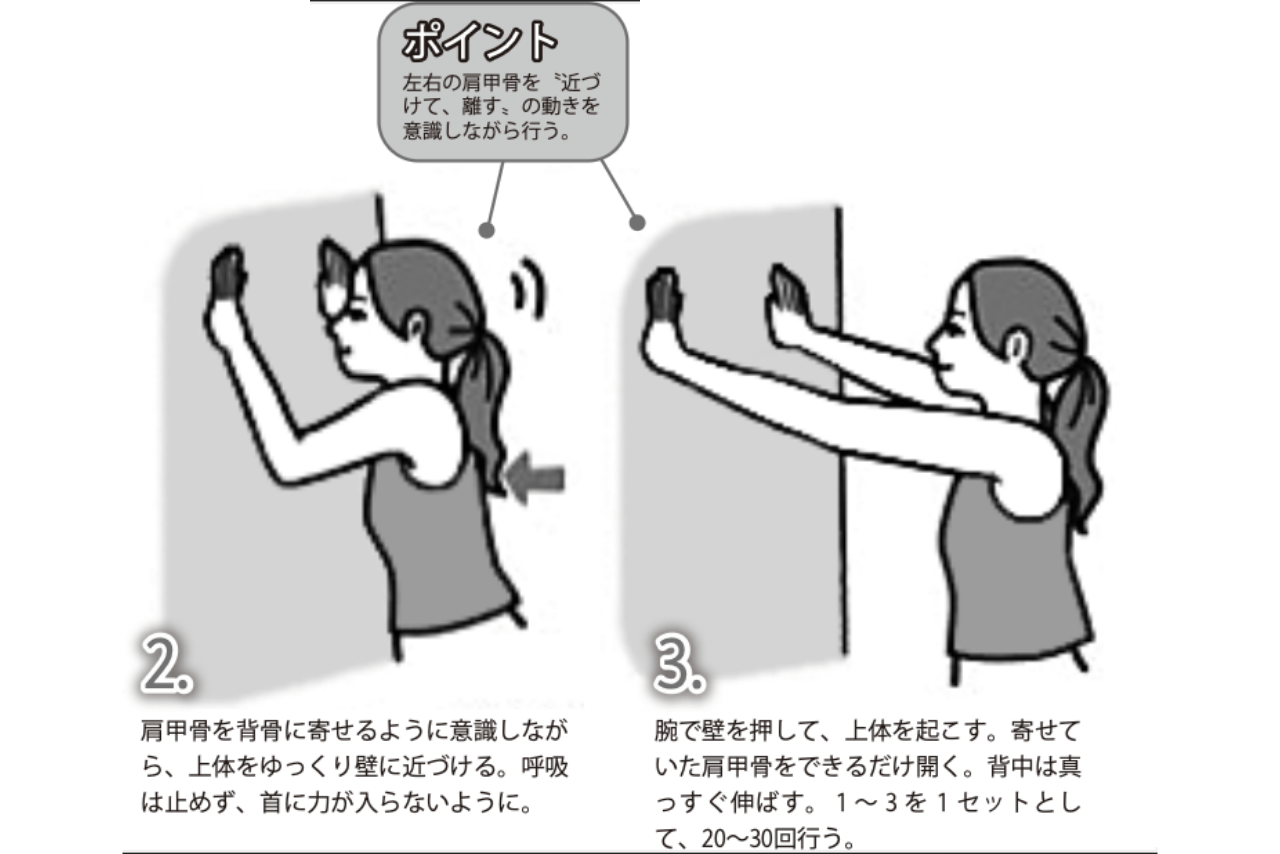 壁立て伏せ：2~3. 肩甲骨を背骨に寄せるように意識しながら、上体をゆっくり壁に近づける。呼吸は止めず、首に力が入らないように。腕で壁を押して、上体を起こす。寄せていた肩甲骨をできるだけ開く。背中は真っすぐ伸ばす。1～3を1セットとして、20～30回行う。