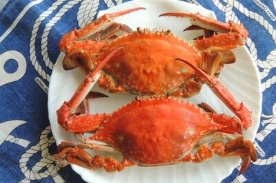 「これがワタリガニポーズです」。取材時にはポーズ指導をしてくれた長嶺さん　※写真はイメージです