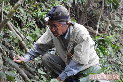 「家族のもとへ帰したい」戦没者の遺骨を見つけ出す“ガマフヤー”、平和のために続く闘い