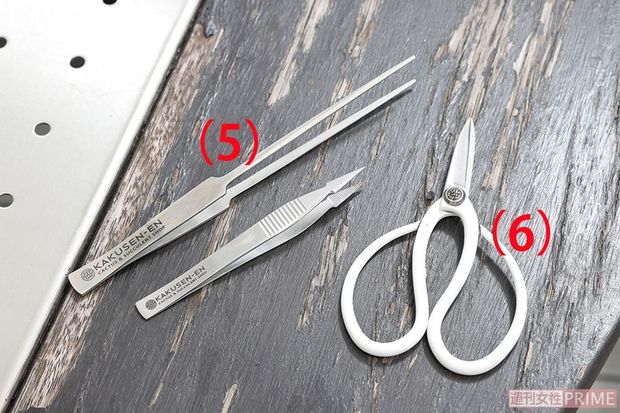 （5）鶴仙園オリジナルピンセット［ロング2530円、ショート1650円］（6）外山刃物×鶴仙園オリジナルハサミMini［3850円］