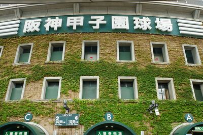 《全国高等学校野球選手権大会》“夏の甲子園7回制”「意識朦朧でも頑張れ」酷暑の高校野球、変わったこと…