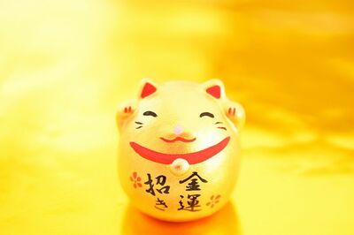 【借金1500万を完済】金運師・たかみーが教える「水回りを清潔に」2025年後半の金運を上げる“開運”アクシ…