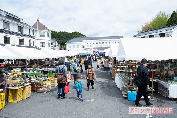 撮影／山田智絵