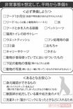 イザというときペットを救う! 非常事態を想定して準備しておきたいアイテムリスト