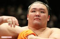 大関・朝乃山の6場所出場停止処分に弁護士は「違法」、協会の“やりたい放題”に危惧