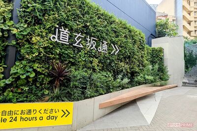 ゴキブリを3万匹発生させた汚女子・最強ちゃんがベビールームから長時間生配信で批判殺到、施設担当者の回…