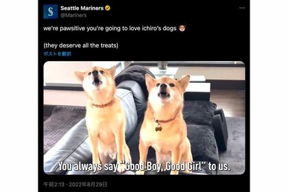 イチローと弓子夫人の愛犬「姫弓」と「天朗」（シアトル・マリナーズ公式Xより）