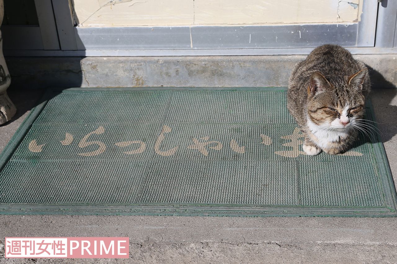 まさに“いらっしゃいませ”とばかりにわれわれをお出迎え　撮影／齋藤周造