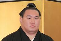 大相撲ロンドン公演は富裕層たちの“社交場”！「チケットは5万円から」庶民には手が出ない衝撃の価格帯