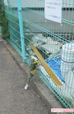 事件発生から約2か月たった現場には1束の花が手向けられていた
