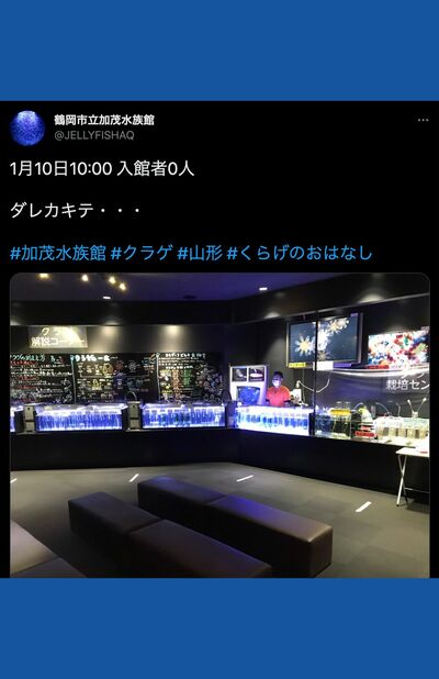 1500万表示されたツイート「ダレカキテ…」（加茂水族館公式Twitterより）