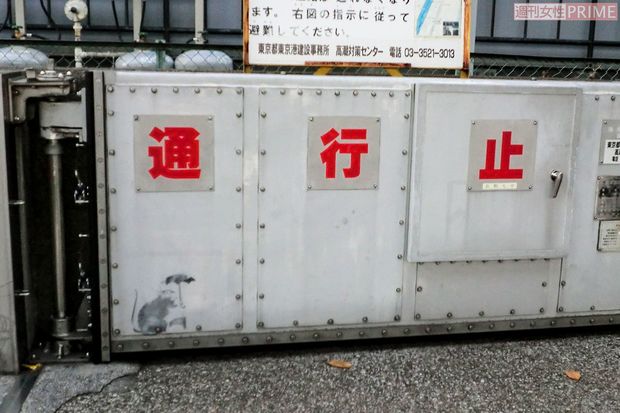 日の出駅近くにある防潮扉に描かれたネズミは現在撤去され保管されている