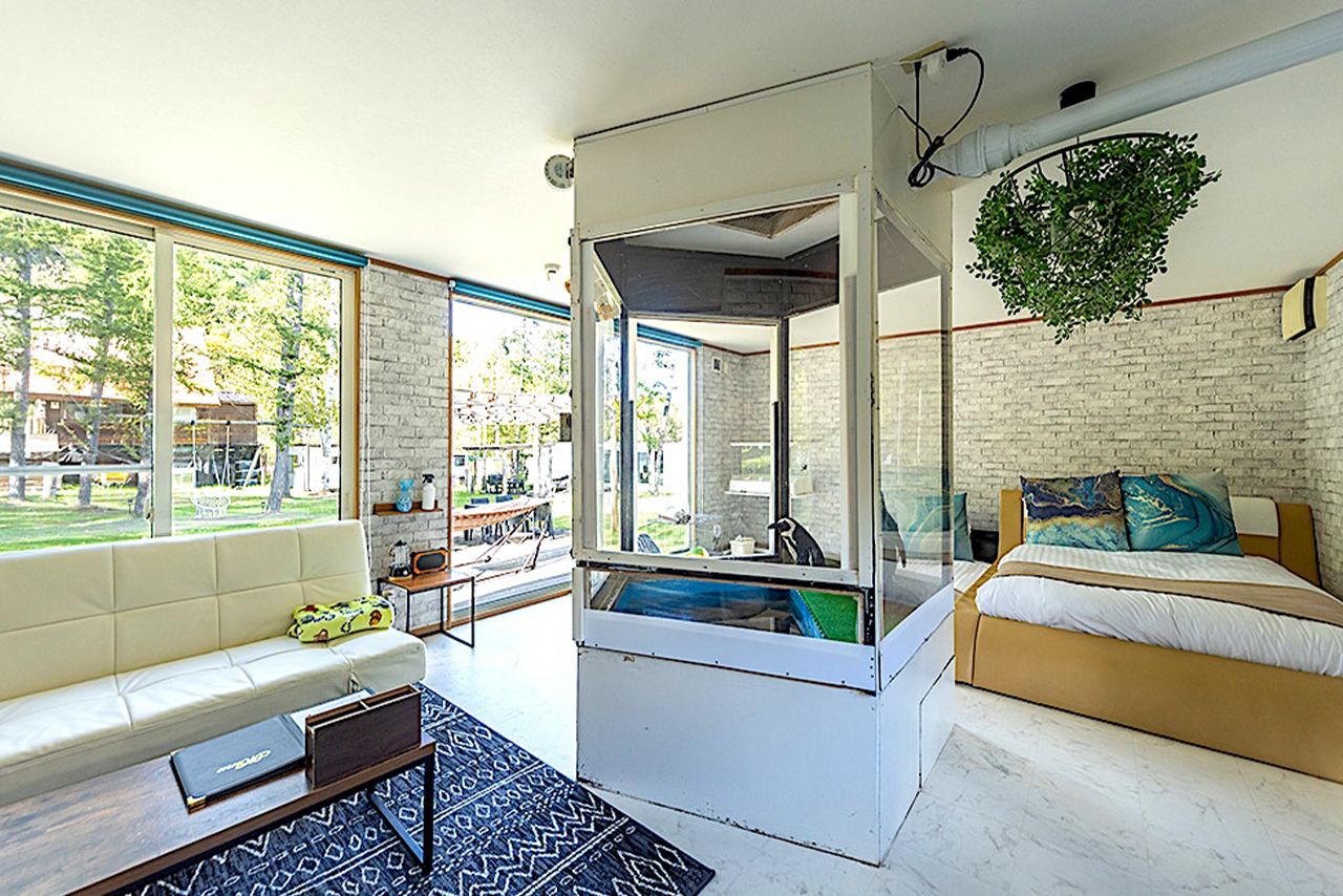 ペンンギンと宿泊できる「ペンギンコテージ」(公式サイトより)