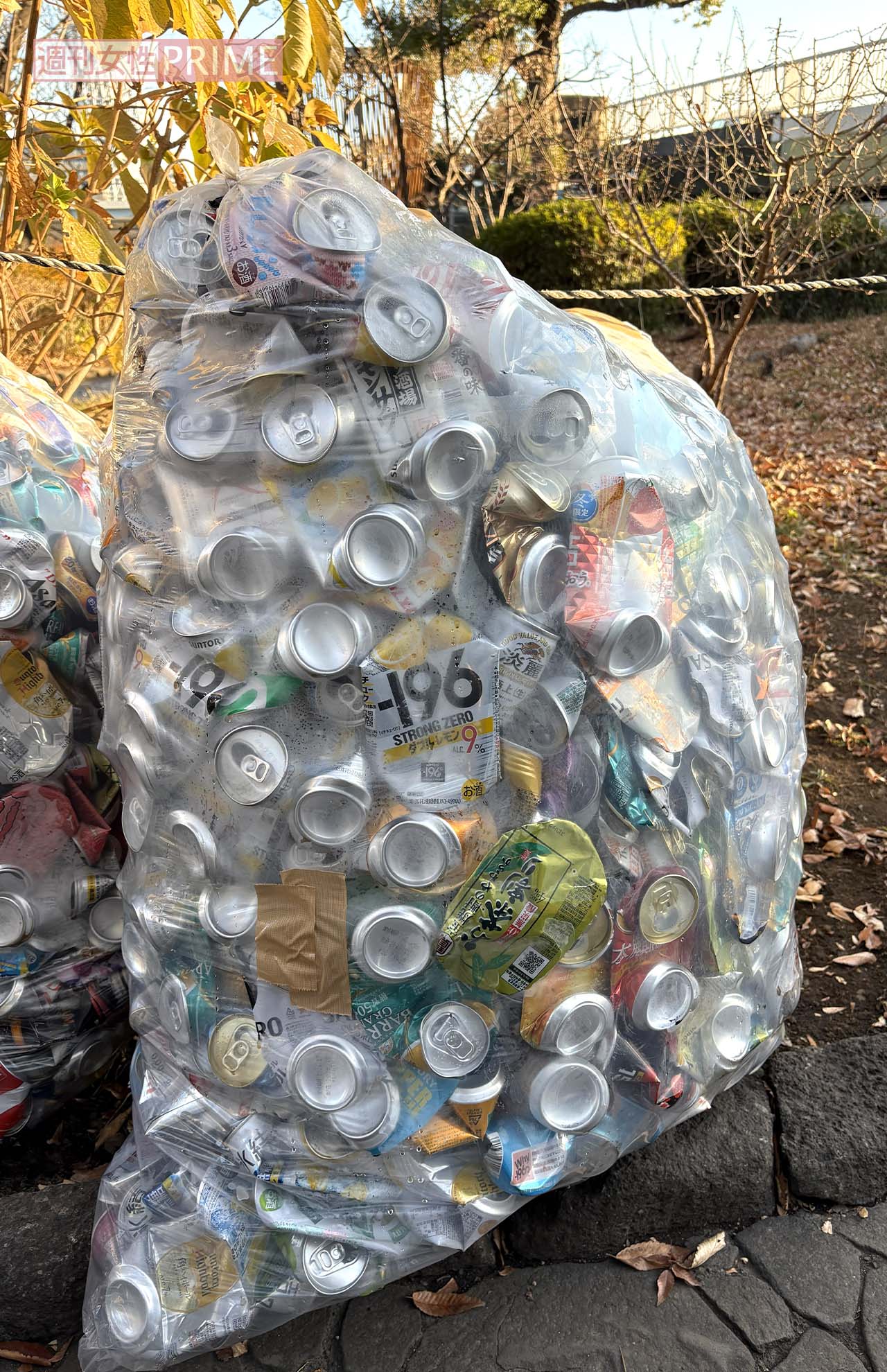 これで約10キロだという　撮影／編集部