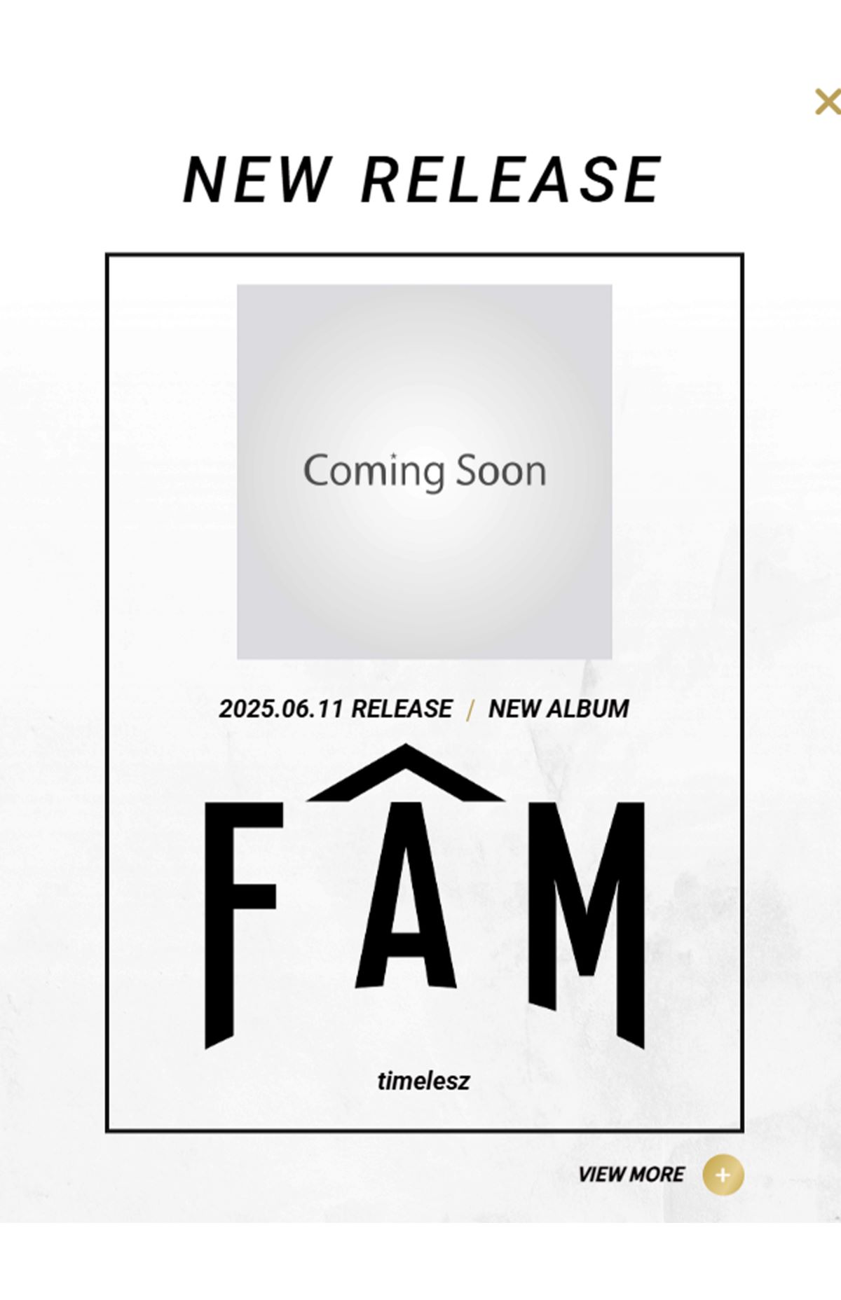 timeleszの新アルバム『FAM』（公式ホームページより）