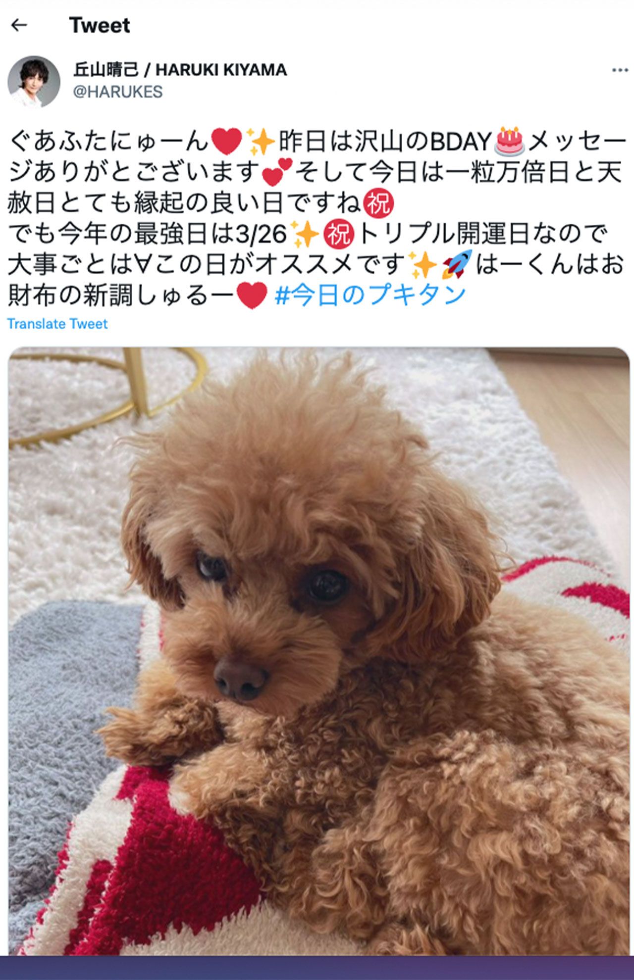 丘山晴己が1月11日、自身のツイッターで投稿した独特な文面