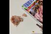 「シーチキンにウジ虫」混入を疑ったSNS動画(※編集部加工)