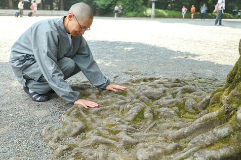 散策中「夫は木の根も好きでした」と思いを馳せた