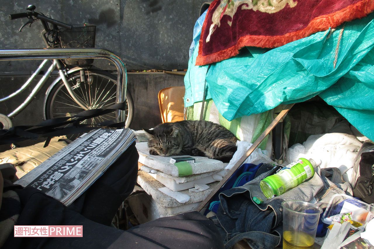 猫を飼うホームレスも多い