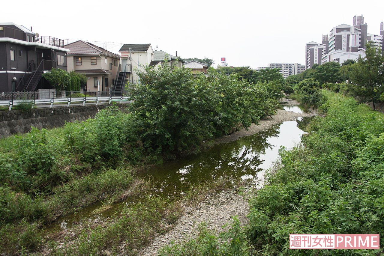 住宅街に流れる水のほとんどない空堀川。遺棄現場は写真左岸の奥