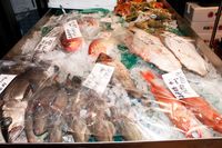 本当は教えたくない！「築地より安くて新鮮」驚きの魚市場が銀座のど真ん中に