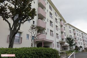 実家を離れ、きょうだいで暮らす集合住宅