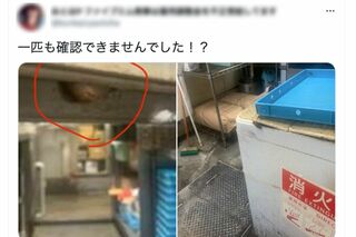 『大阪王将』の不衛生ぶりをを告発した元従業員が投稿したツイート。左の写真の赤丸にナメクジ、右には洗濯機から這い出るゴキブリの姿も