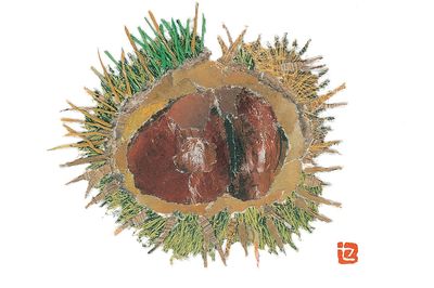 【イガグリ】こよりでイガイガ作りましてん。ピンセットで先をつまんだら、みんなとがります。栗の色がええ色でました。光ってるとこを後から上に貼りました。　撮影／佐伯慎亮