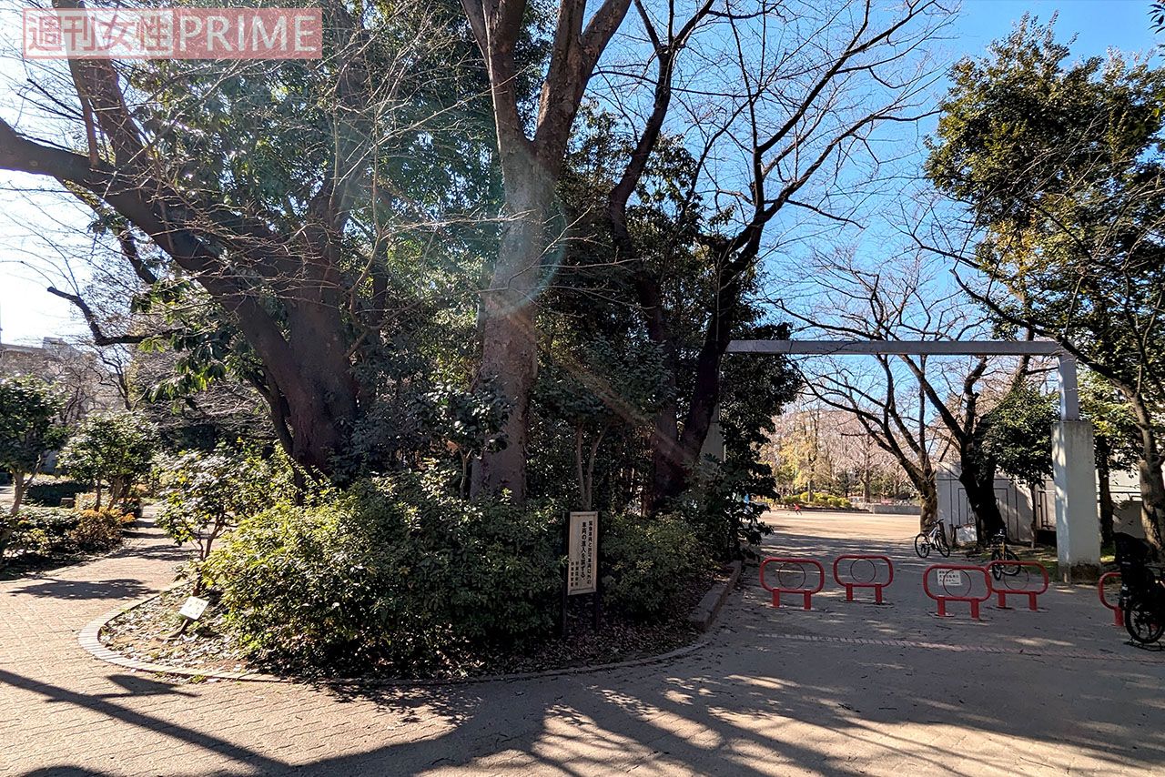 隣接する小学校の正門前でも撮影が行われた