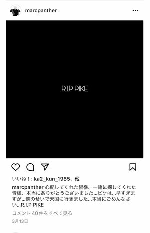 愛猫が亡くなったことを報告したマーク・パンサー（本人のインスタグラムより）https://www.instagram.com/p/CpuyuDlvVdI/