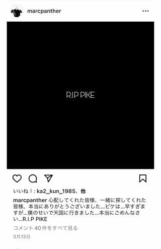 愛猫が亡くなったことを報告したマーク・パンサー（本人のインスタグラムより）