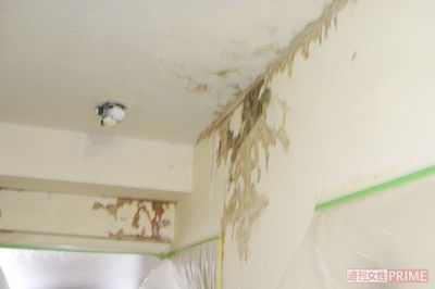 遺体からあふれた体液は階下へ。虫が発生し強烈な悪臭が広がるため、そのまま生活することは難しい