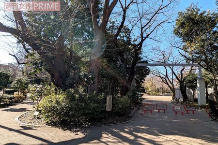 隣接する小学校の正門前でも撮影が行われていた