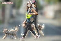 『世間知らずっぽい親子』ランキング1位に工藤静香・Koki,を選出したフジテレビ『ぽかぽか』、加速する業界…