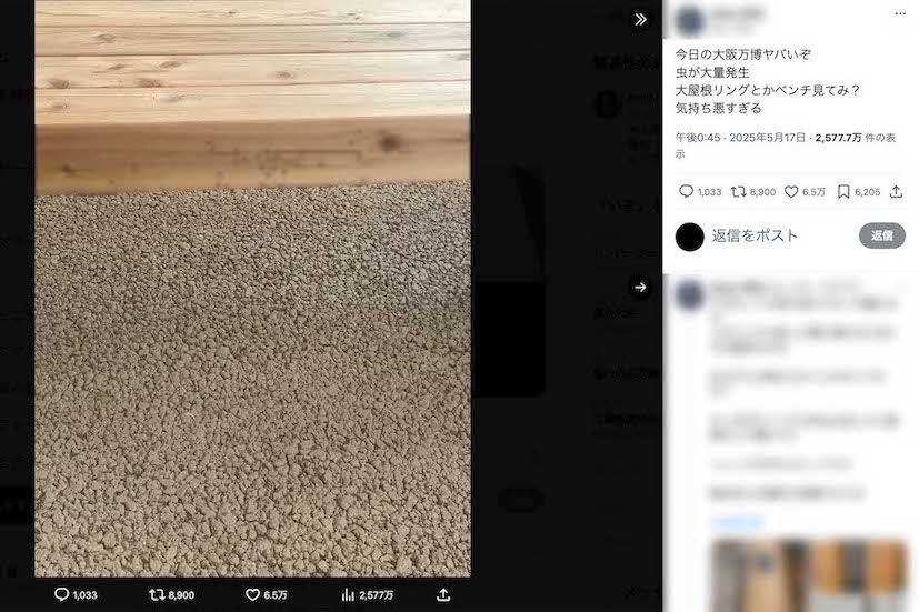 大屋根リングの木製の柱などに小さな虫が大量に発生している様子がアップされている（Xより、画像は一部編集部でモザイク加工）