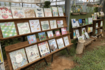 農業と絵本がコラボする場である『きいろいおうちfarm』