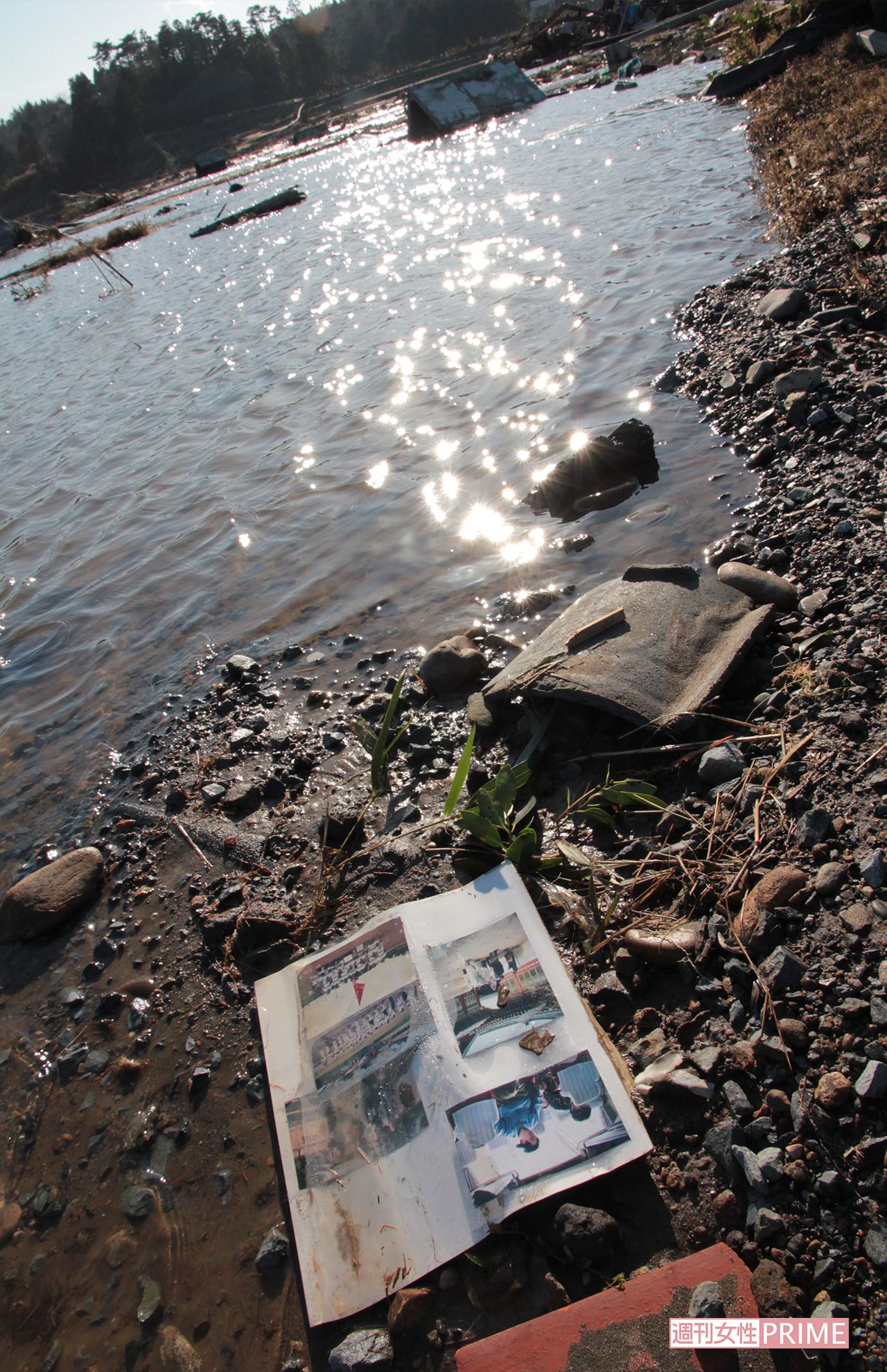 壊滅した南相馬市の跡地に埋もれたアルバムの切れ端が、そこに生活があったことを物語っていた（2011年3月12日）