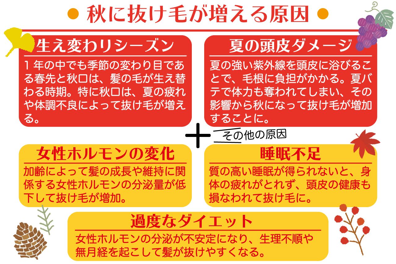 秋に薄毛が進行するのは“夏”のせいだった！