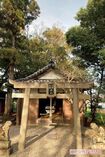 「伊勢出雲神社」は、本殿とは別に境内にある「境内社」。「境内社には珍しい神社がたくさん!」