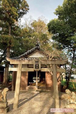 「伊勢出雲神社」は、本殿とは別に境内にある「境内社」。「境内社には珍しい神社がたくさん！」