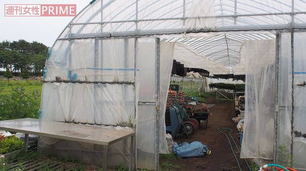 A子さんが保護されたビニールハウス。深夜に寒さを防げるような場所ではない