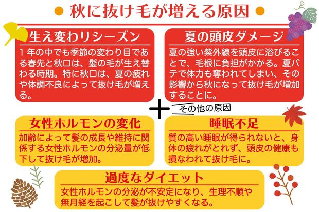 秋に薄毛が進行するのは“夏”のせいだった！