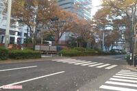 《東京・新宿》タクシー運転手“ハトひき殺し”は実名まで晒すほどの事件なのか？「見せしめ」「実名晒しに…