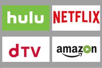 知らなきゃソンする！ ネットテレビのQ&A　これさえ知っておけば大丈夫