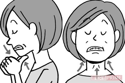 イラスト／上田英津子　