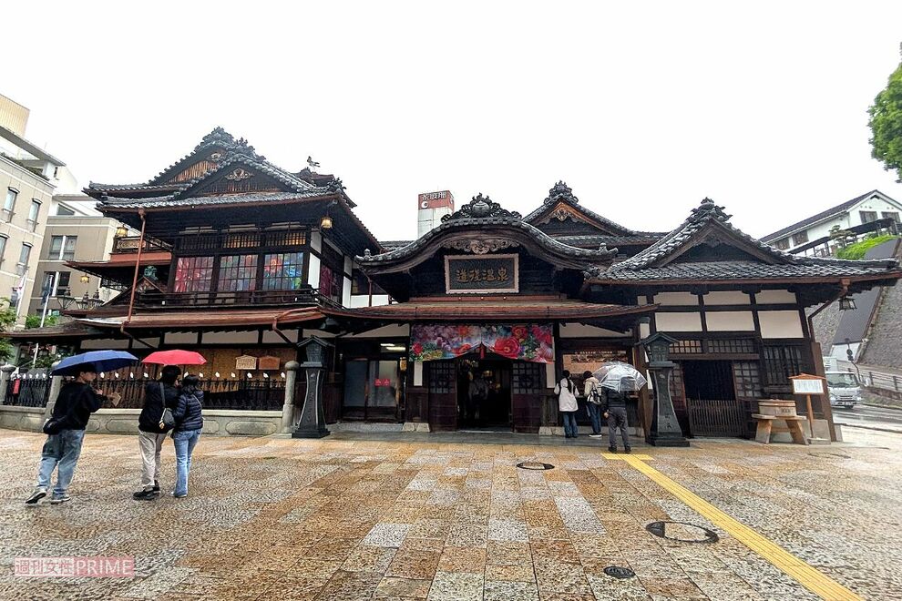愛媛の銘菓「母恵夢」がSNSで“不倫夫のアリバイ作りに使われ”大反響…販売元が「台湾ではなく愛媛の銘菓…
