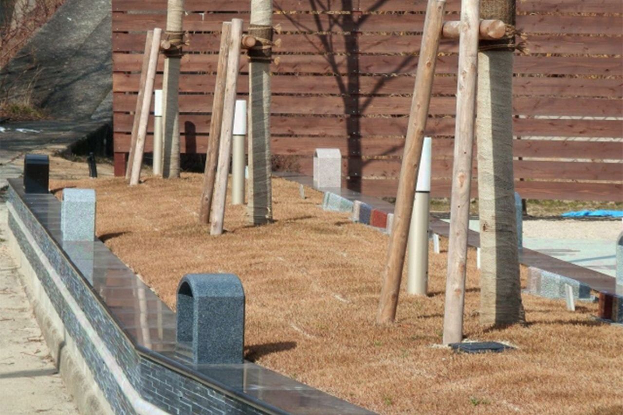 樹木葬は墓石の代わりに樹木や草花をシンボルとして、その周辺に遺骨を埋葬。合祀されることが多く遺骨の取り出しができないデメリットも※写真はイメージです